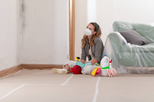 Reliable Black Mold Removal contractor in Randallstown, MD by WQB Mold Removal